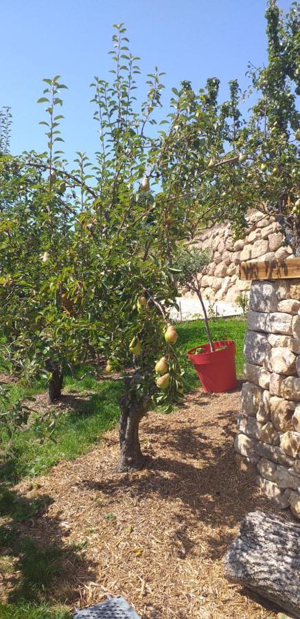 Gites De L'Alouette Boffres Екстер'єр фото